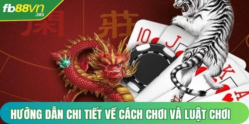 Hướng dẫn chi tiết về cách chơi và luật chơi Rồng Hổ FB88