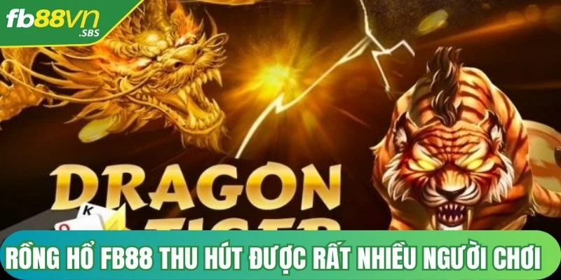 Rồng Hổ FB88 đã thu hút được rất nhiều người chơi nhờ vào cách chơi đơn giản